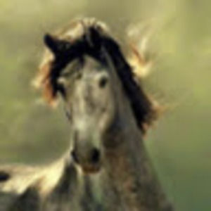 Meet your Posher, Adrienne